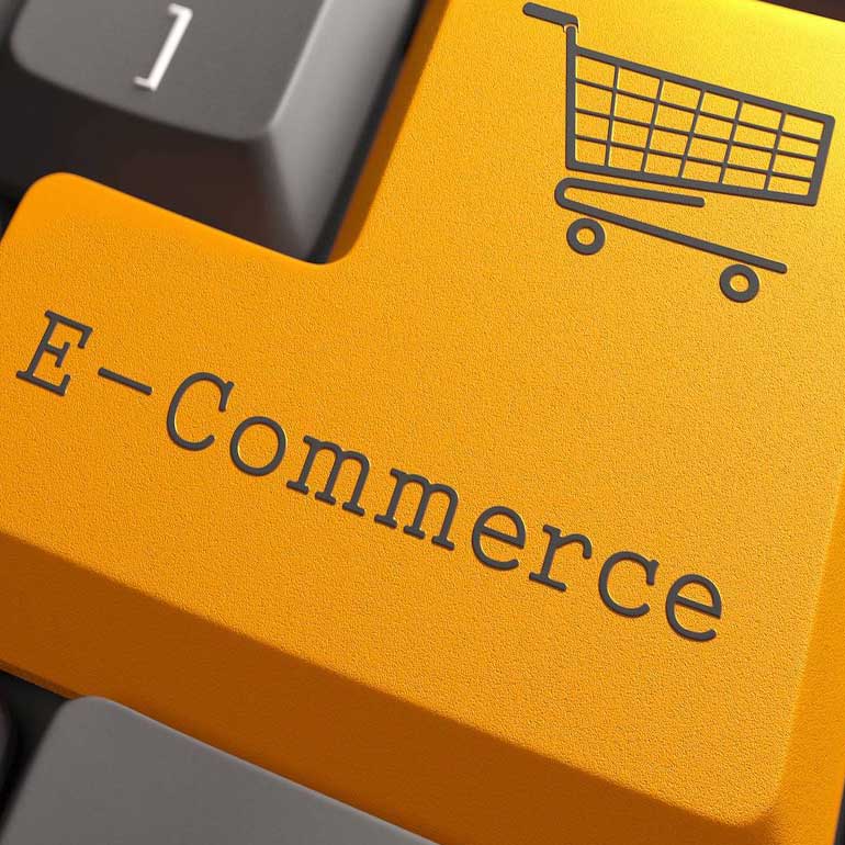 Realizzazione E-Commerce: Sito web con software e-commerce per la vendita online di prodotti e servizi.